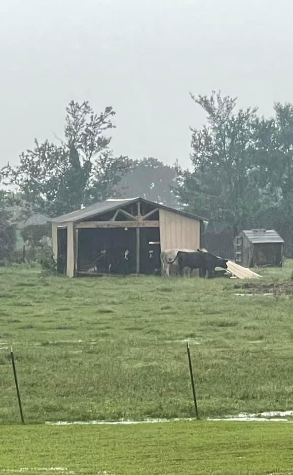 Some minor barn damage in the same area that this funnel/possible tornado was spotted. Both images are from the Gravel Hill Road area in Joy, Arkansas (White County).